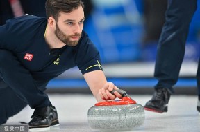 开云-Scout遭遇二十连败，瑞士队教练面临压力！的简单介绍